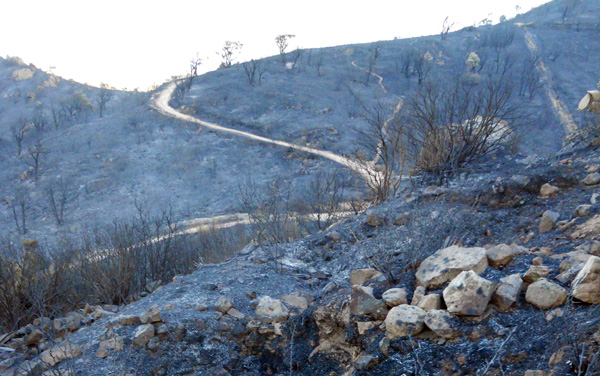 incendio-capoterra-2012-giorno-dopo